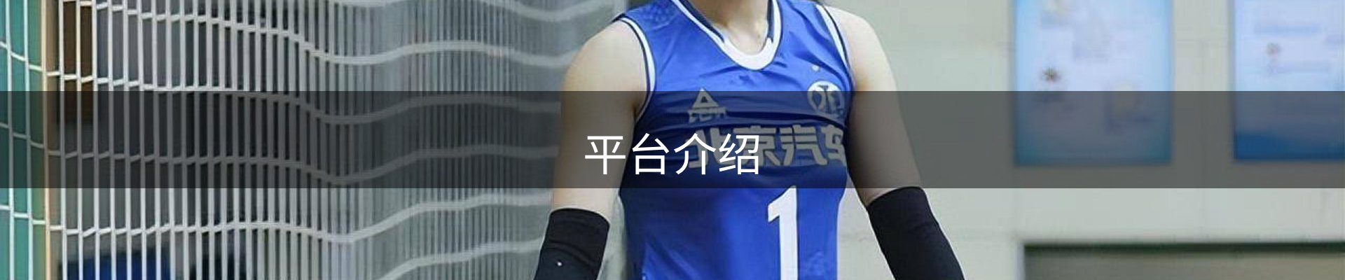 平台介绍